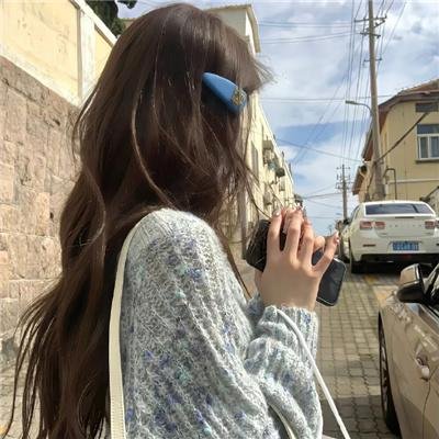 木材宝藏狗